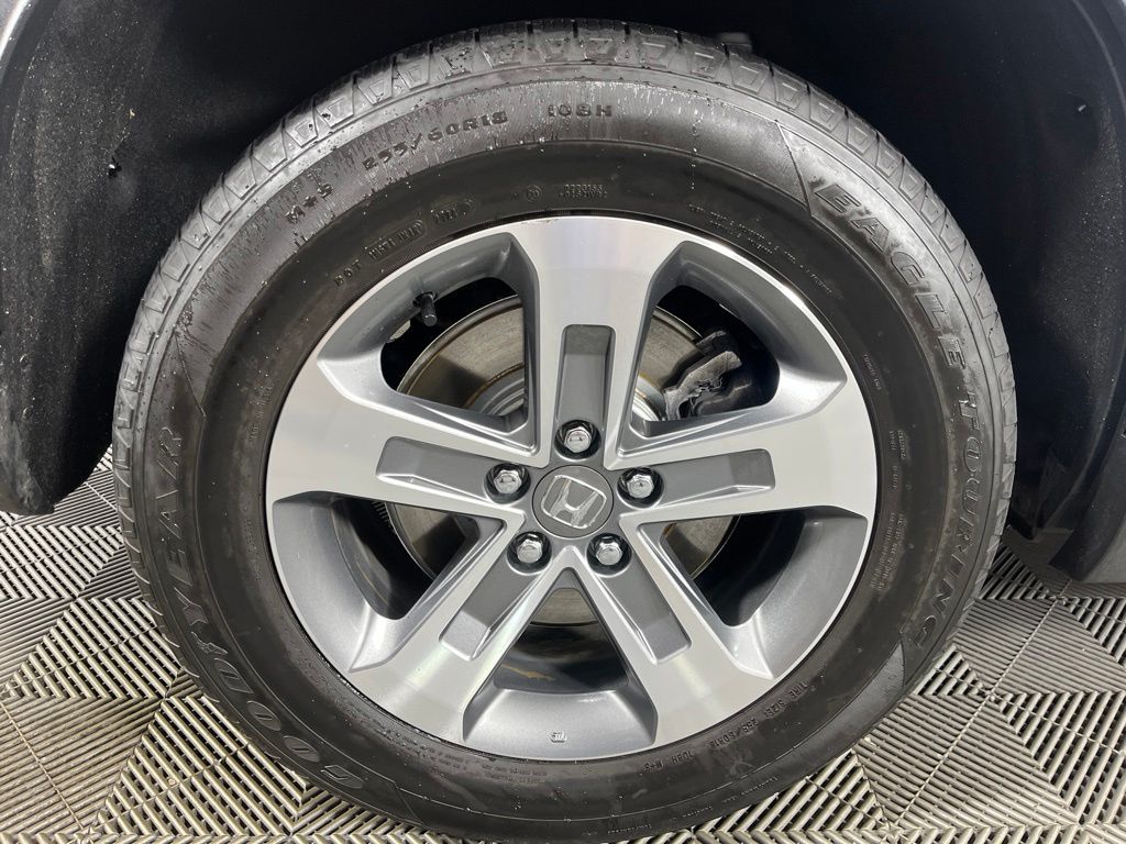 Photo 16