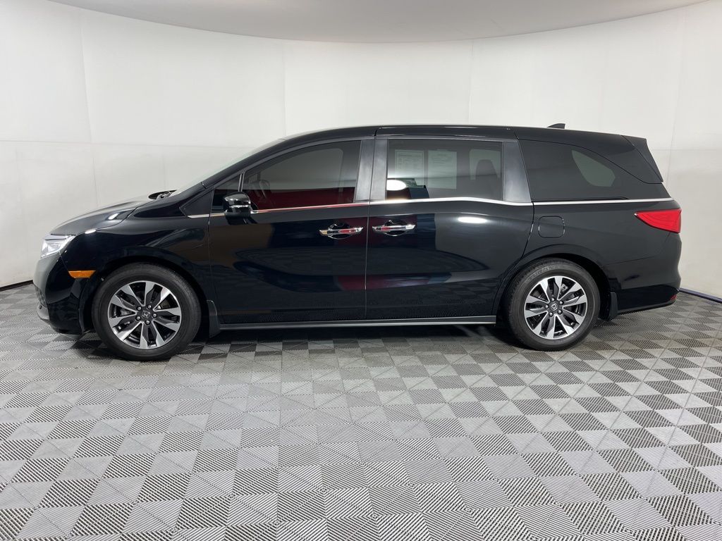 Certified 2023 Honda Odyssey EX-L with VIN 5FNRL6H64PB053368 for sale in Fayetteville, AR