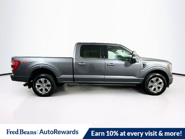 2022 Ford F-150 Platinum - Photo 10