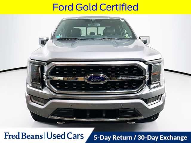 2022 Ford F-150 Platinum photo 2