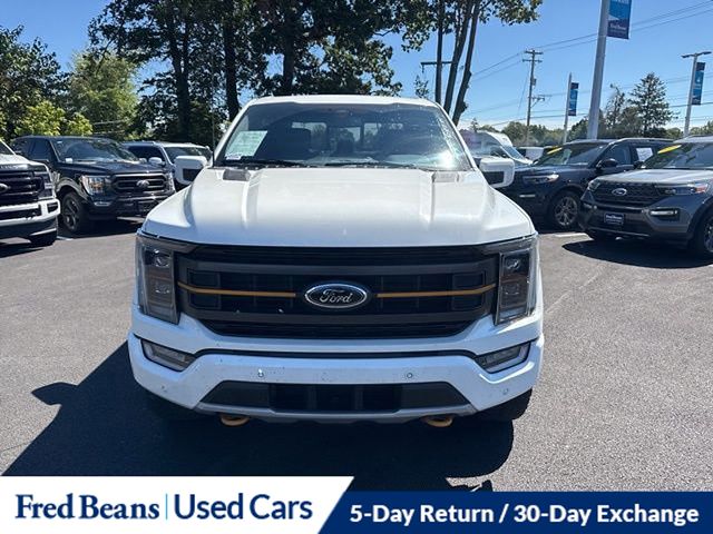 2023 Ford F-150 Tremor photo 2