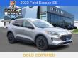 Used 2022 Ford Escape SE SUV