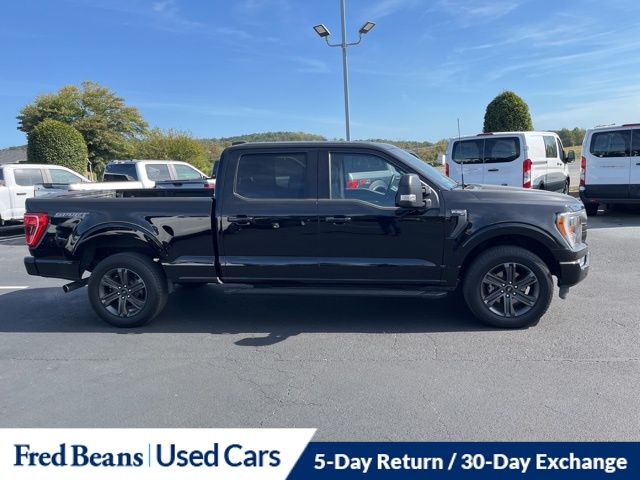 2023 Ford F-150 XLT photo 3