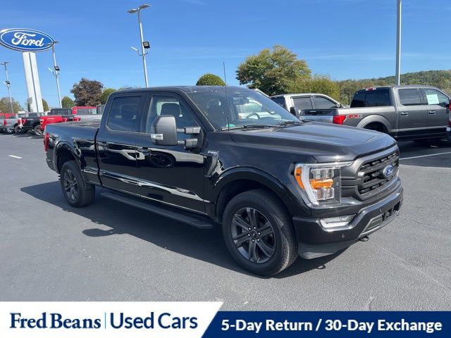 2023 Ford F-150 XLT photo 2