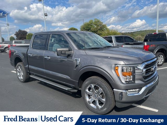 2022 Ford F-150 XLT photo 2