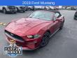 Used 2019 Ford Mustang Ecoboost Convertible