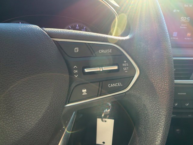2019 Hyundai Santa Fe SE - Photo 30