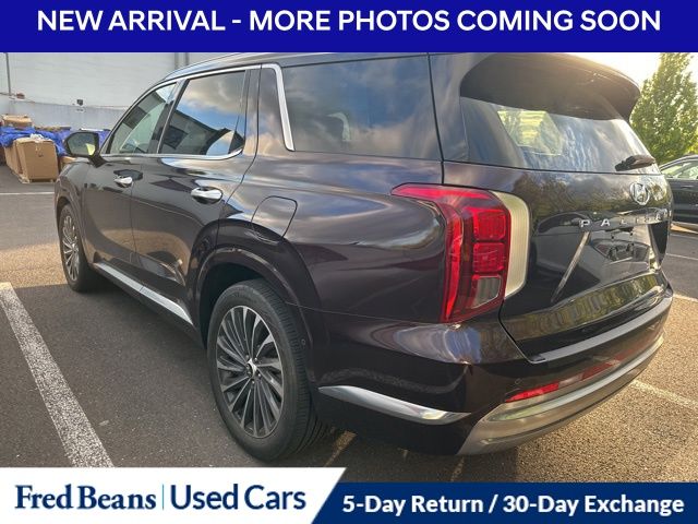 2024 Hyundai Palisade Calligraphy - Photo 6