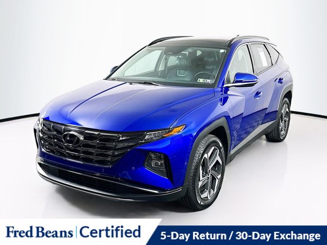 2024 Hyundai Tucson Limited photo 3