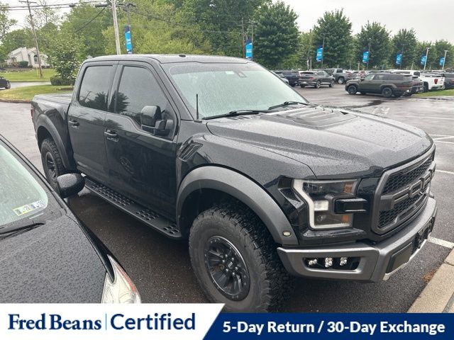 2018 Ford F-150 Raptor - Photo 14