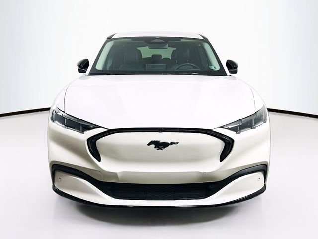 Used 2024 Ford Mustang Mach-E Premium AWD with VIN 3FMTK3S59RMA04359 for sale in Doylestown, PA