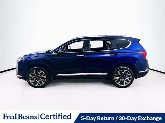 2023 Hyundai Santa Fe Calligraphy photo 4