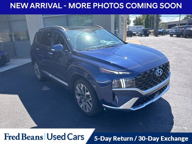 2023 Hyundai Santa Fe Calligraphy photo 3
