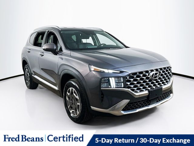 2021 Hyundai Santa Fe Blue's photo