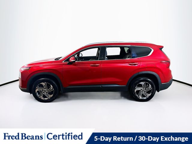 2023 Hyundai Santa Fe SEL photo 4