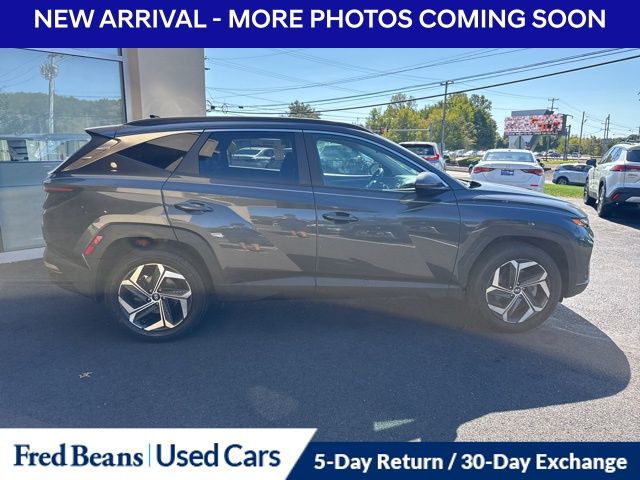 2023 Hyundai Tucson SEL Convenience photo 4