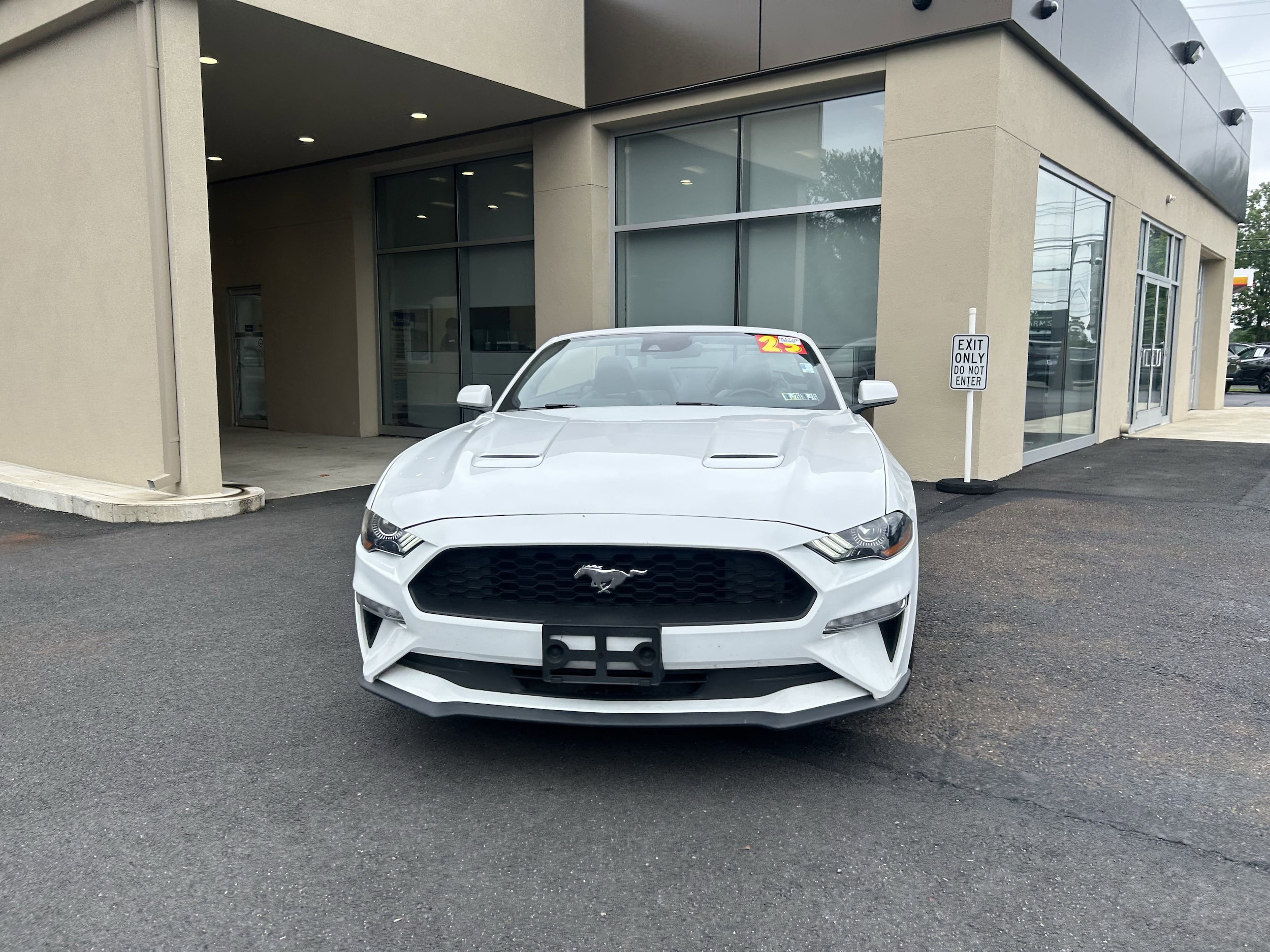 Used 2023 Ford Mustang EcoBoost Premium with VIN 1FATP8UH6P5103188 for sale in Langhorne, PA