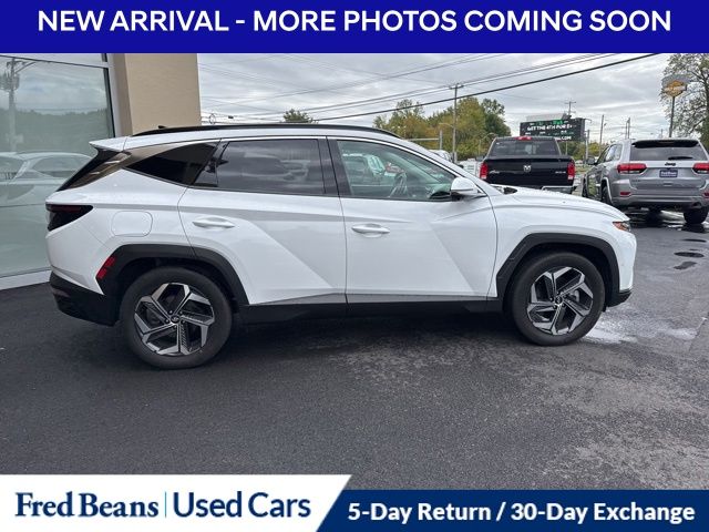 2023 Hyundai Tucson Plug-in Hybrid Limited photo 4