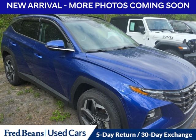2024 Hyundai Tucson Limited AWD's photo