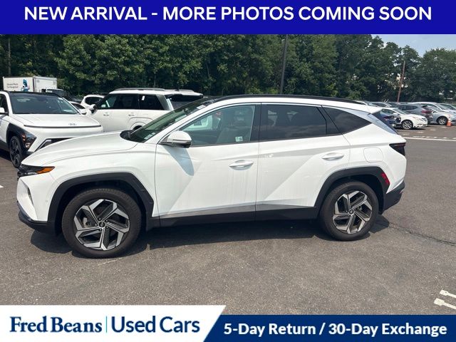 2024 Hyundai Tucson Limited - Photo 6