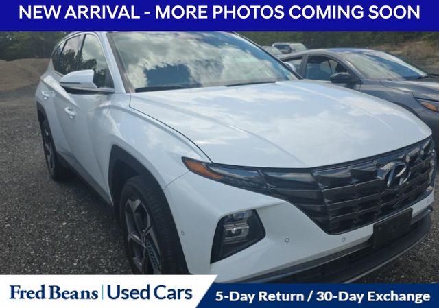 2023 Hyundai Tucson Limited AWD's photo
