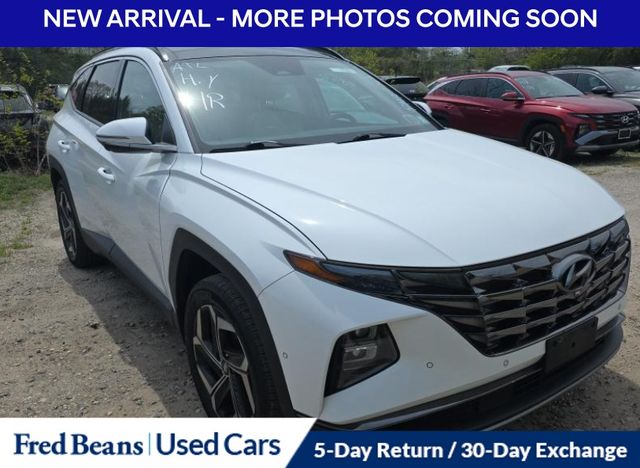 2023 Hyundai Tucson Limited AWD's photo