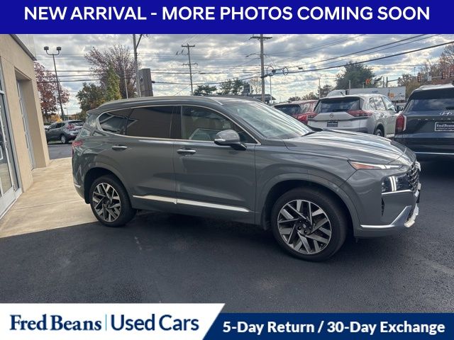 2023 Hyundai Santa Fe Calligraphy photo 4