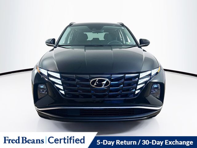 2024 Hyundai Tucson Hybrid Blue photo 2