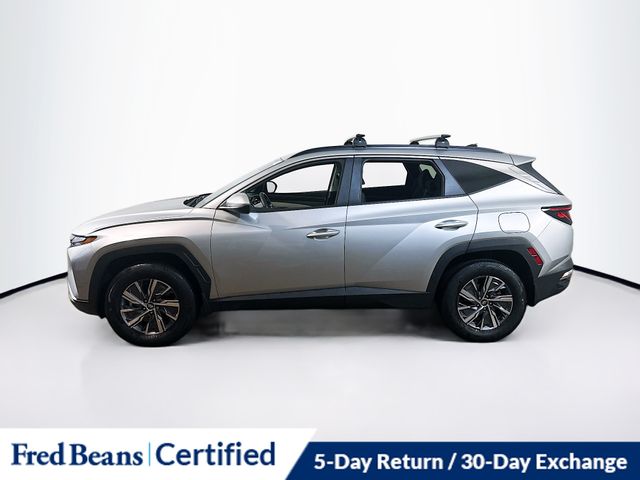 2024 Hyundai Tucson Hybrid Blue photo 2