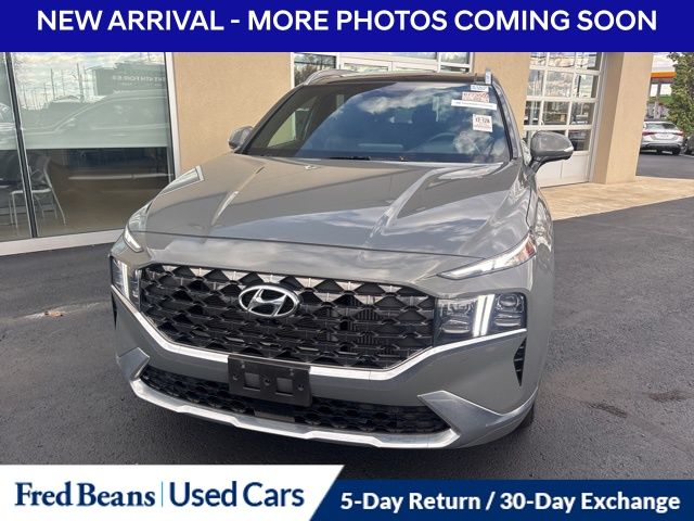 2023 Hyundai Santa Fe Calligraphy photo 2