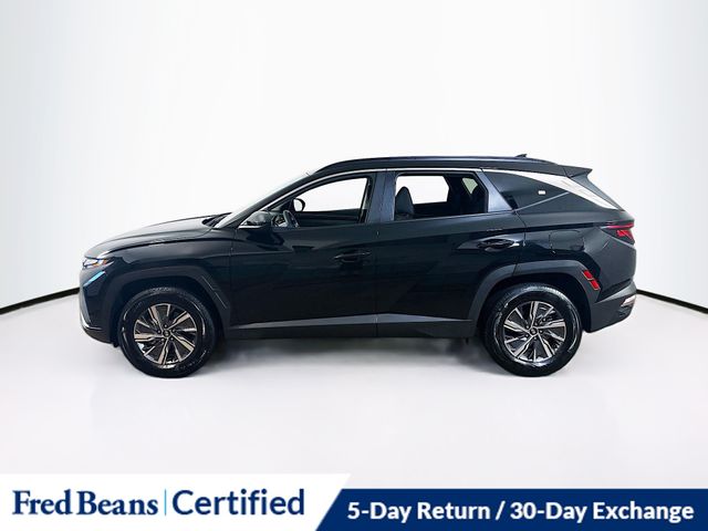 2024 Hyundai Tucson Hybrid Blue photo 2