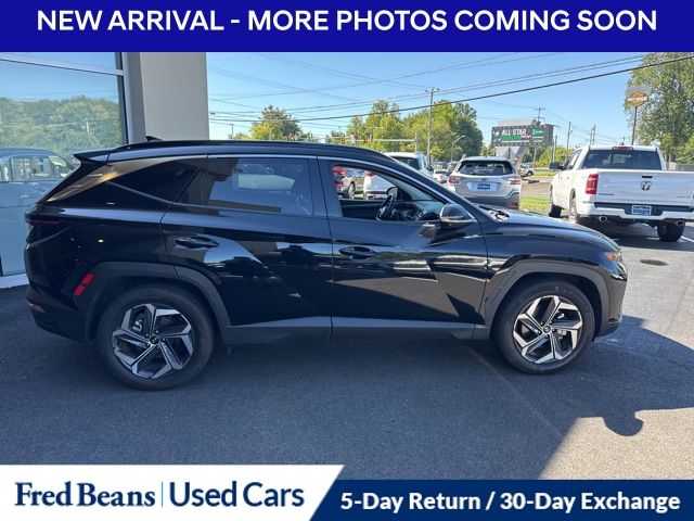 2024 Hyundai Tucson Hybrid Limited photo 4