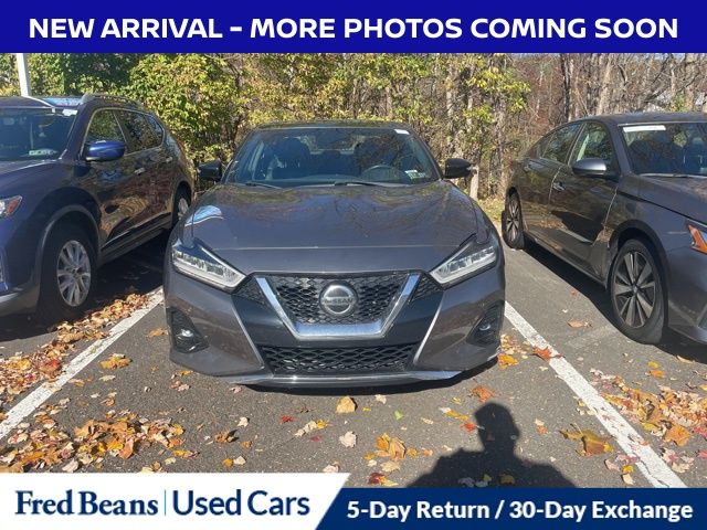 2019 Nissan Maxima SR photo 2