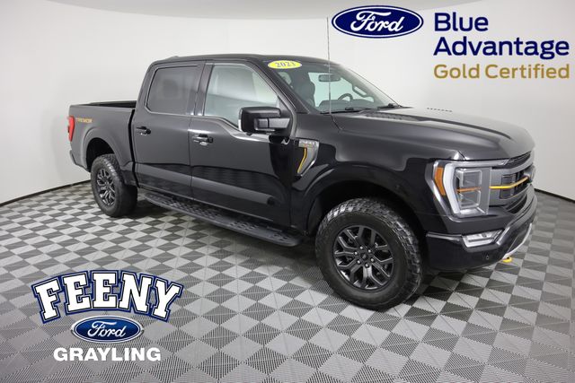 2023 Ford F-150 Tremor's photo