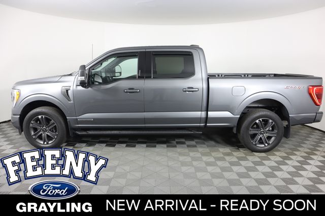 2023 Ford F-150 XLT photo 2