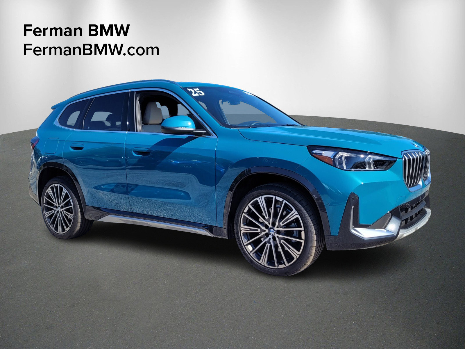 2025 BMW X1 28i's photo