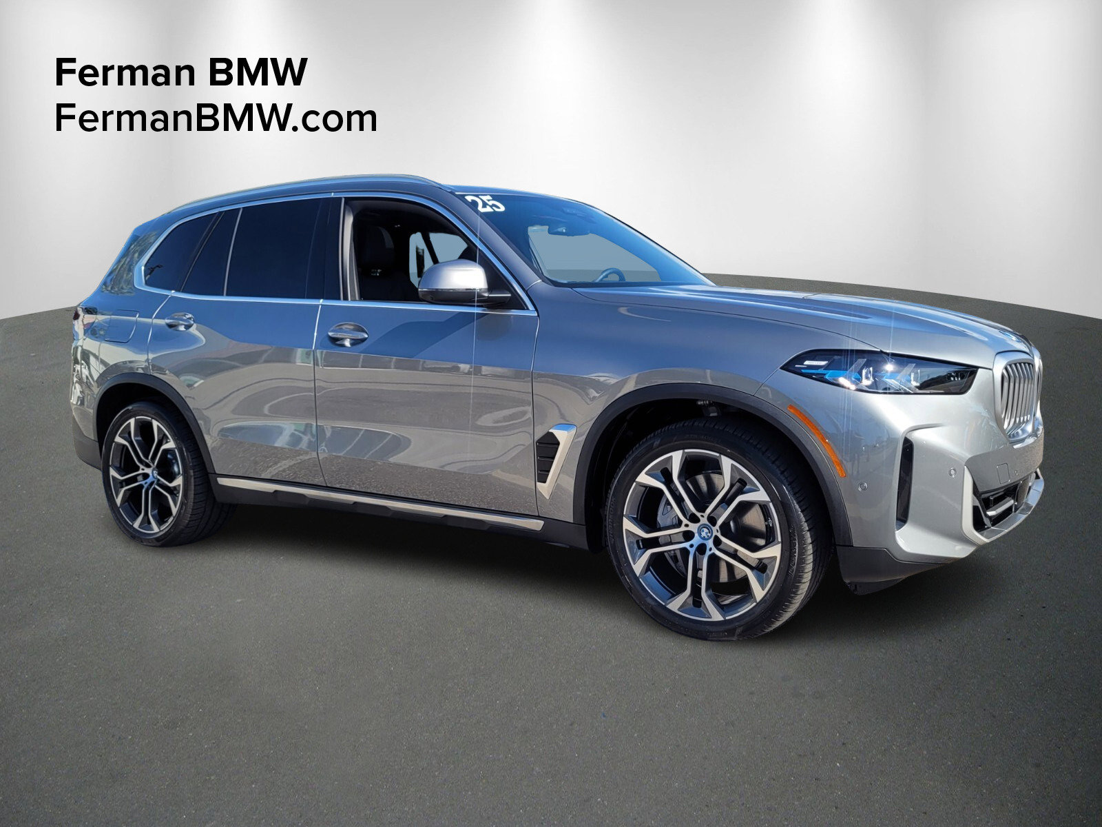 2025 BMW X5 50e's photo