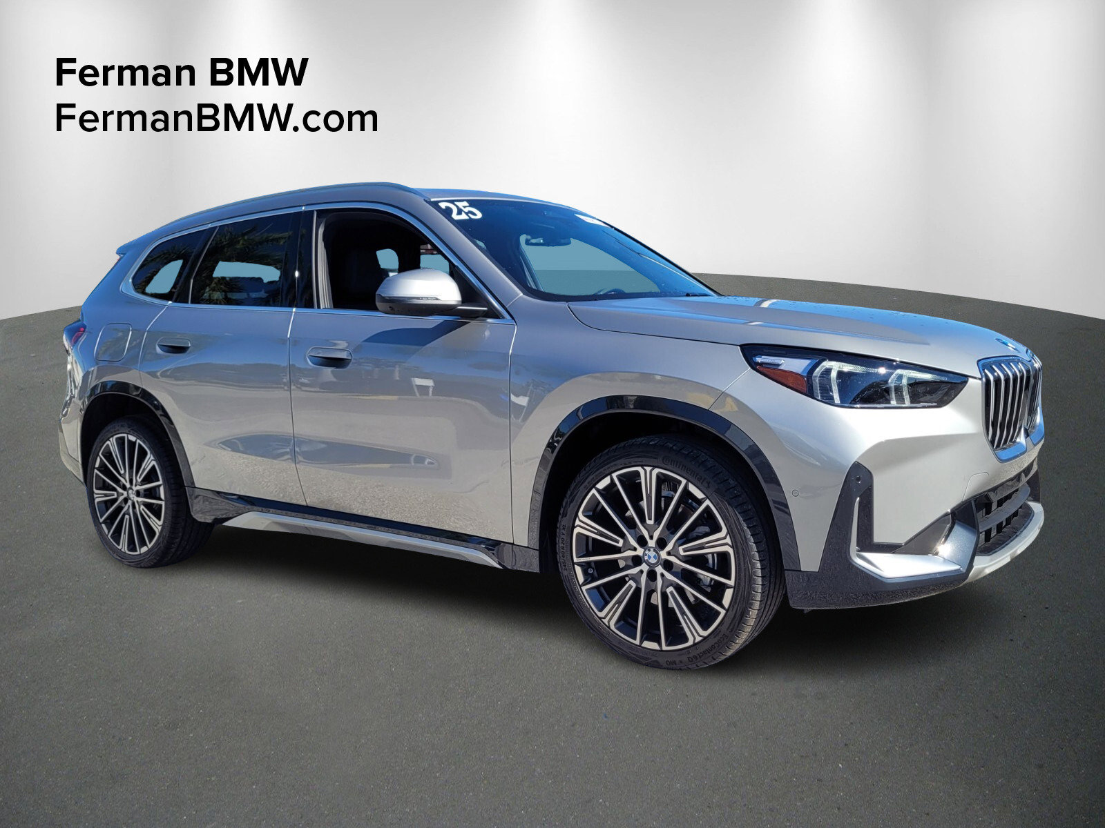 2025 BMW X1 28i's photo