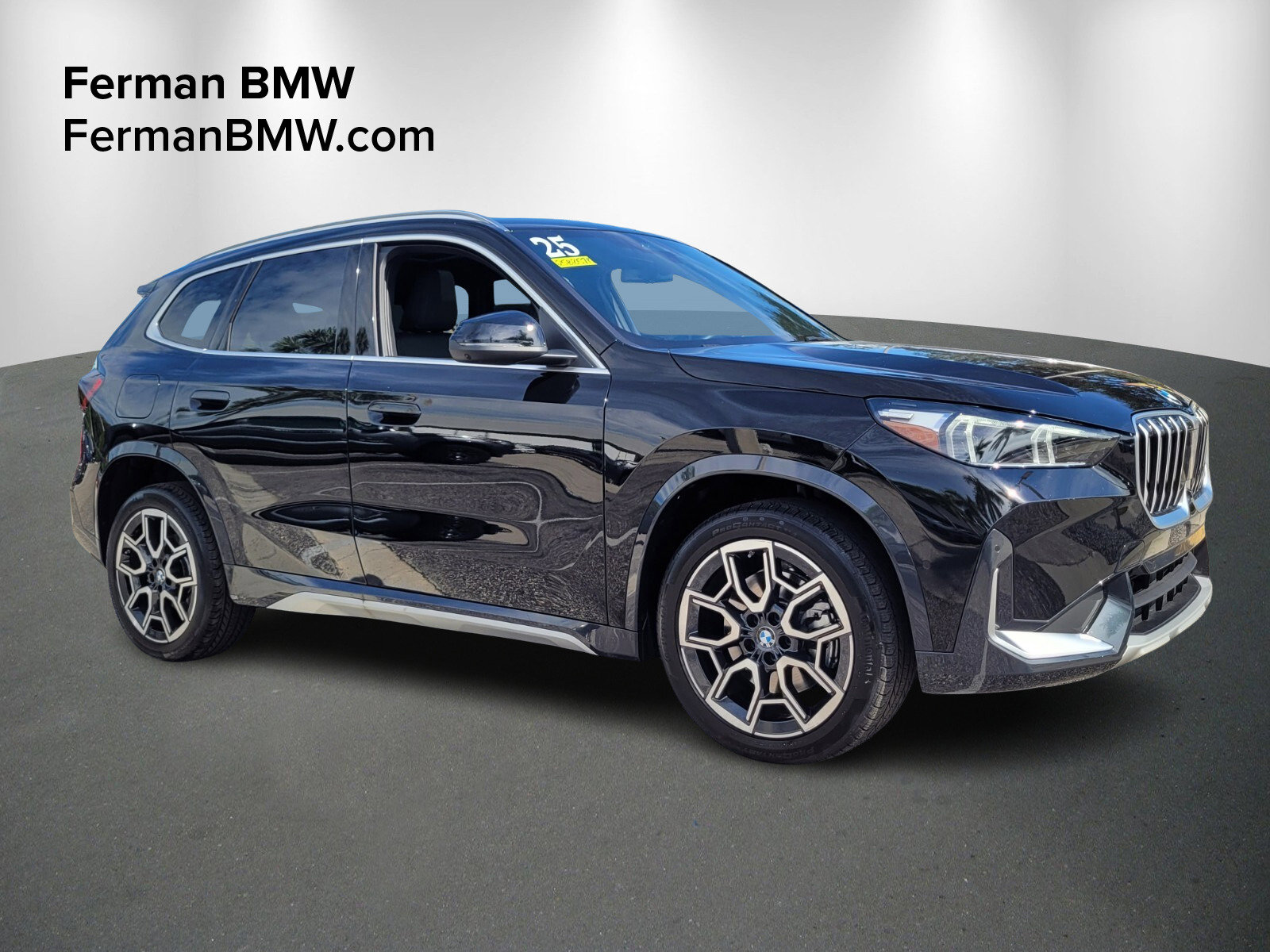 2025 BMW X1 28i's photo