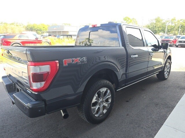 2021 Ford F-150 Platinum photo 3