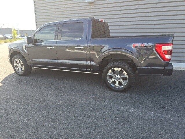2021 Ford F-150 Platinum photo 2