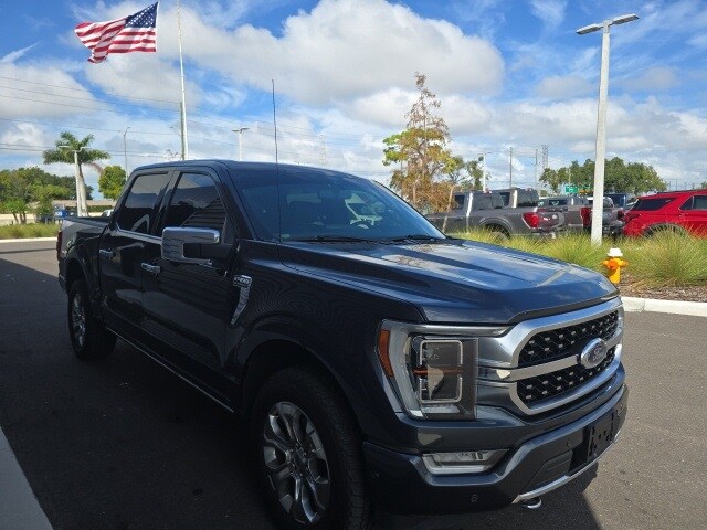 2021 Ford F-150 Platinum photo 4