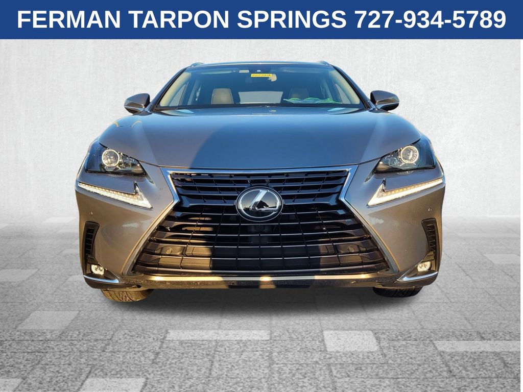 2019 Lexus NX 300 Luxury photo 2