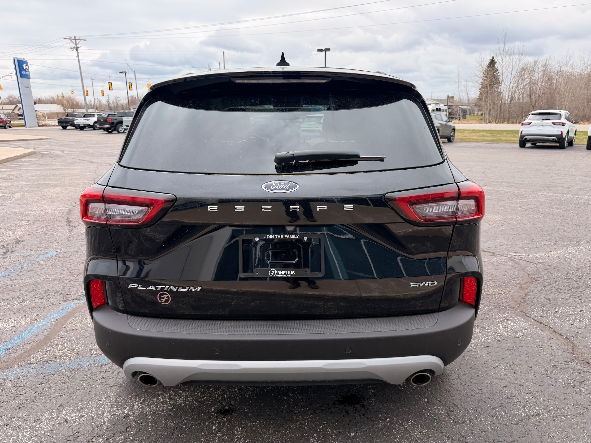 2025 Ford Escape Platinum - Photo 6
