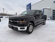 Used 2024 Ford F-150 XLT HYBRID Truck SuperCrew Cab