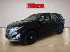 Buy a used 2019 Chevrolet Equinox near Canton, OH