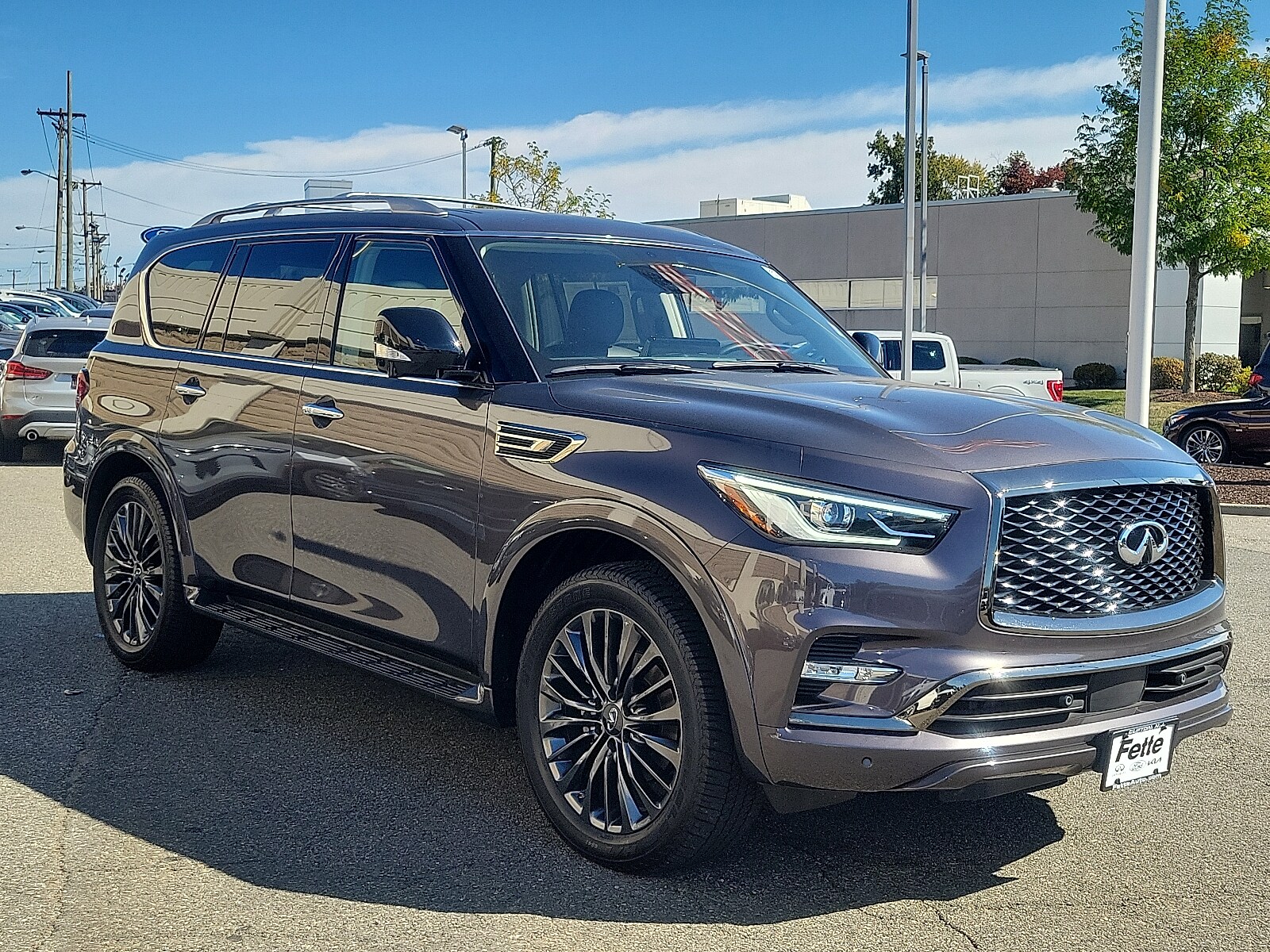 2023 Infiniti QX80 Premium Select photo 3