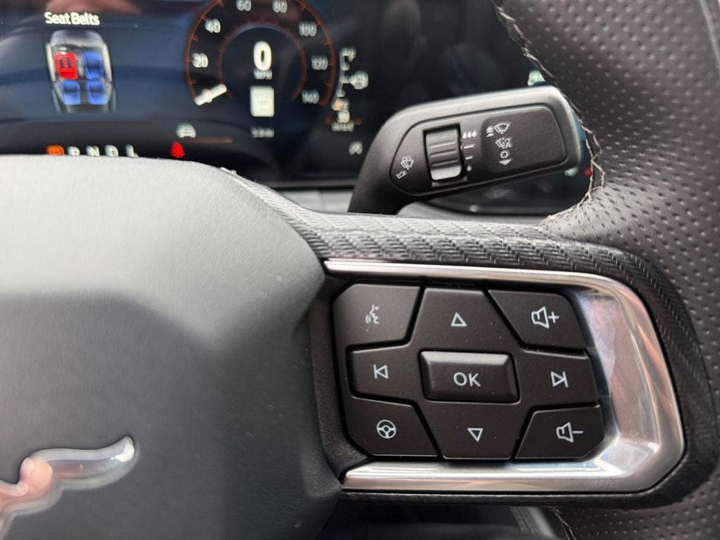 2026 Ford Mustang EcoBoost Premium Fastback - Photo 19