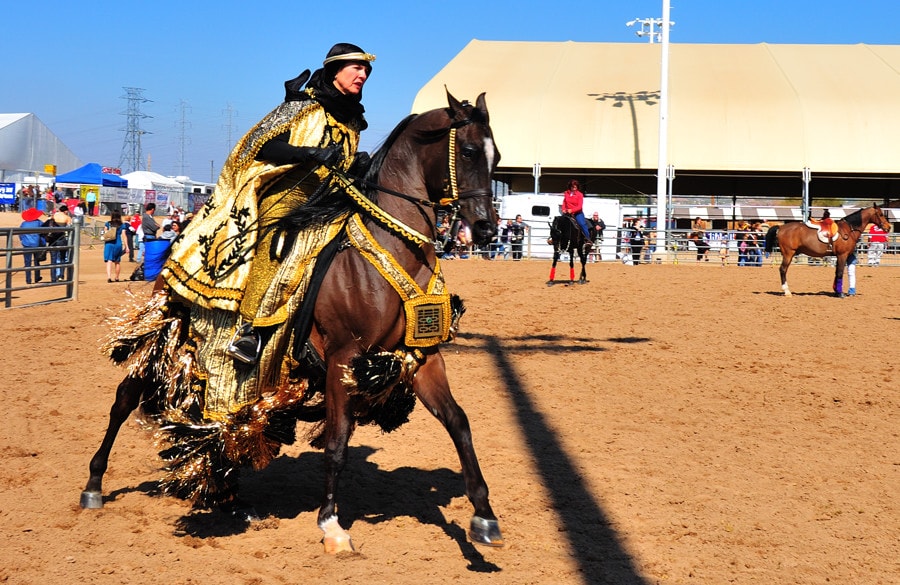 Arabian Horse Show Arrives in Scottsdale