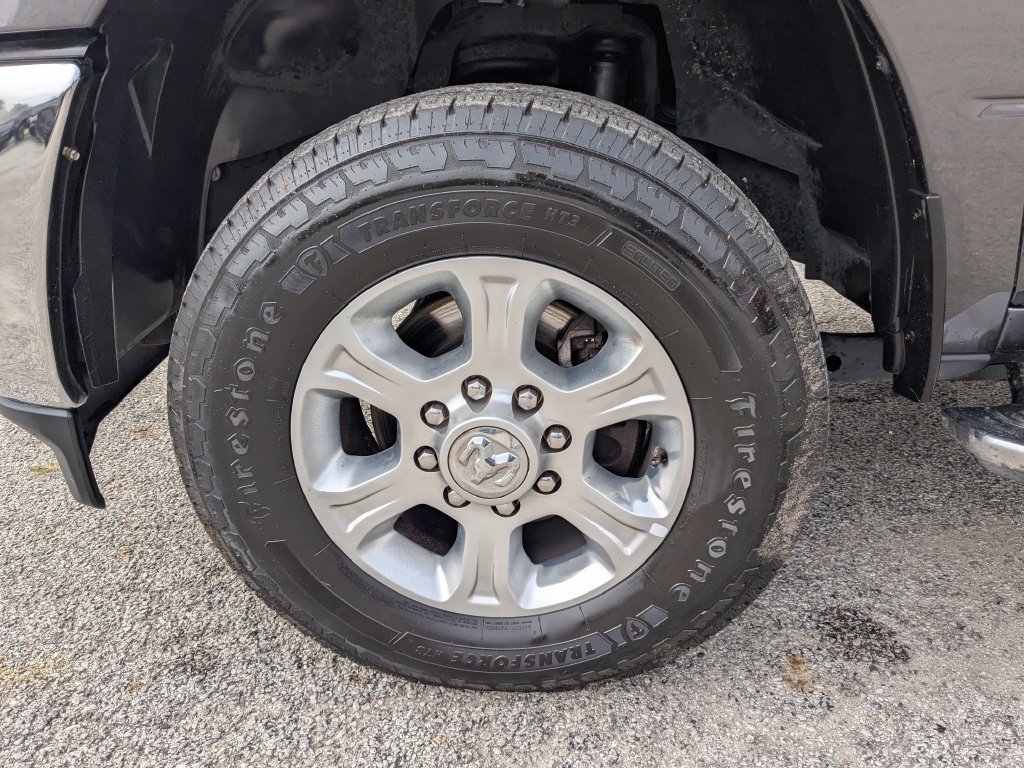 Photo 19